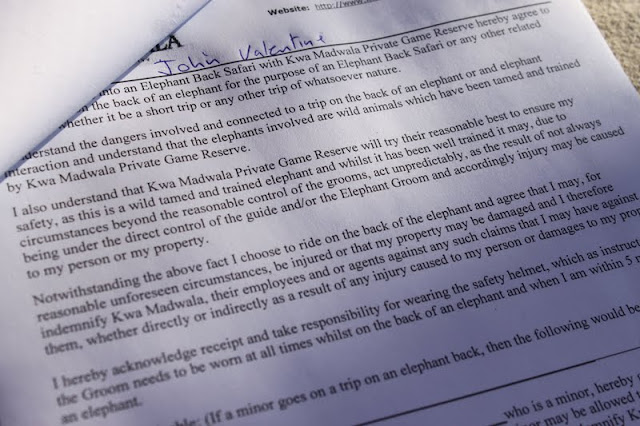  The contract where we sign away our lives... elephant ride, kruger park