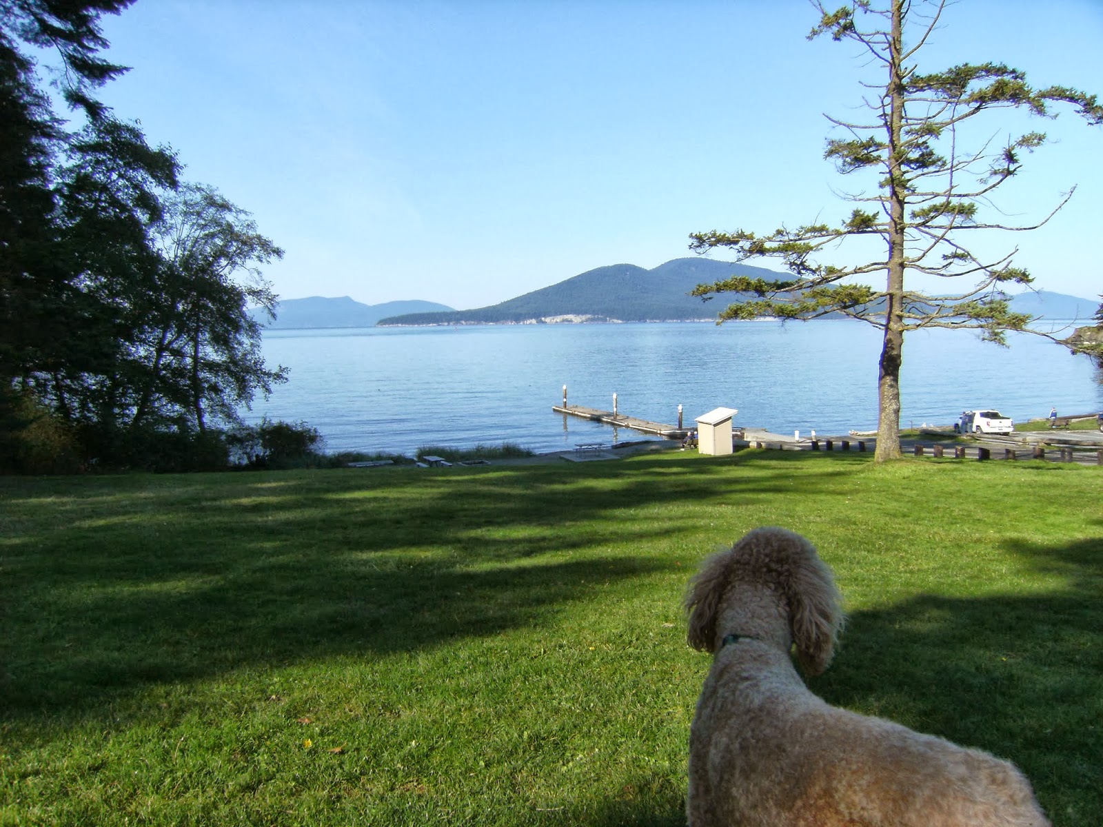 Tiny House Tales Fidalgo Island