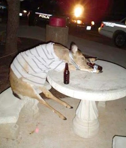 Rapid trigger keyboard. Линейка сорта: brewlab. Drunkdeer driver. Drunkdeer driver. Drunkdeer driver.