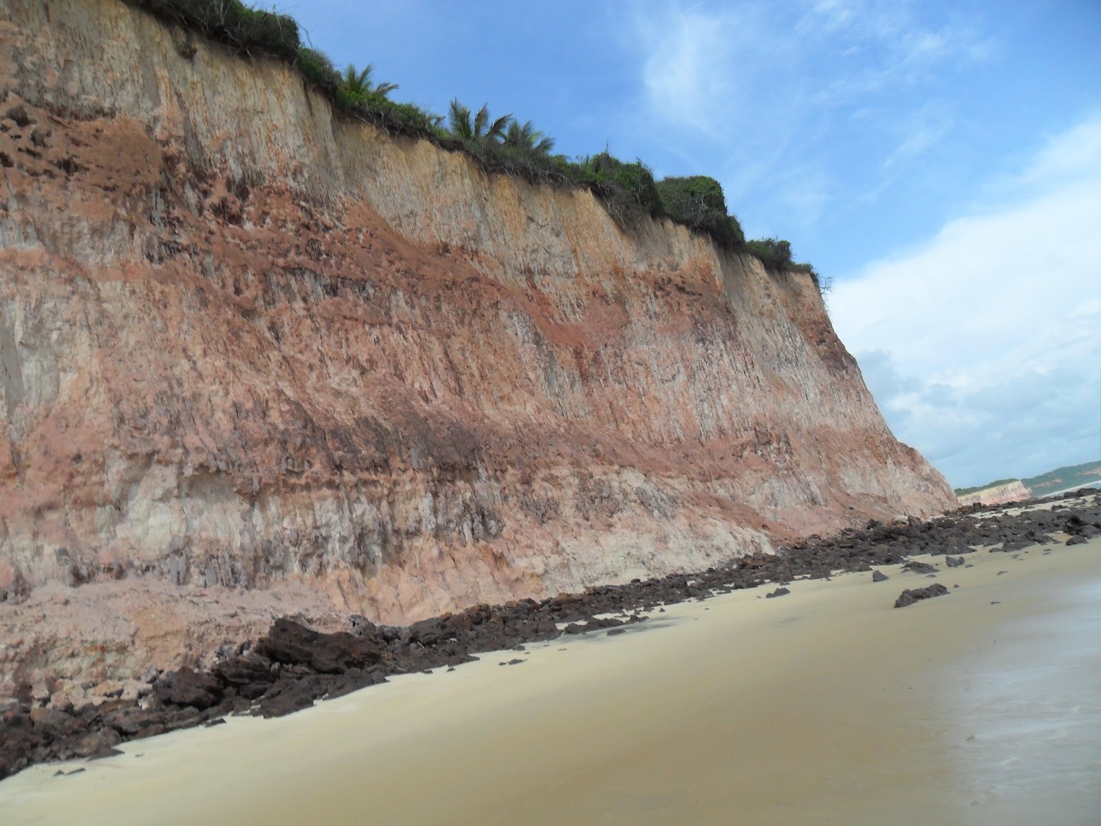 Sebo Rio Branco e Ação Natal Verde: FALÉSIAS DE PIPA E ...