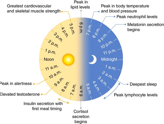 landingpage7 Can a Week of Camping Change a Night Owls Daily Circadian