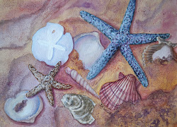 seashells watercolor painting paint sorts textures adding ways while did ago using