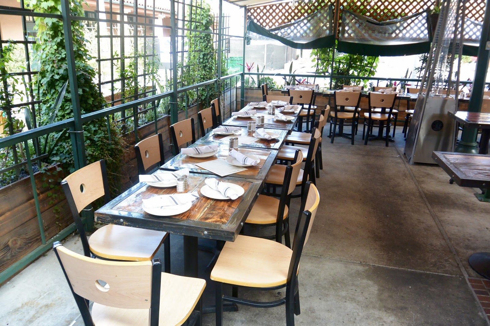 Fig Tree Cafe for Dinner! San Diego Dining Dish!