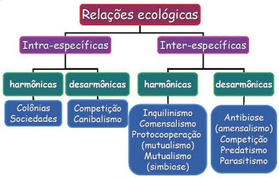 Relações Ecológicas