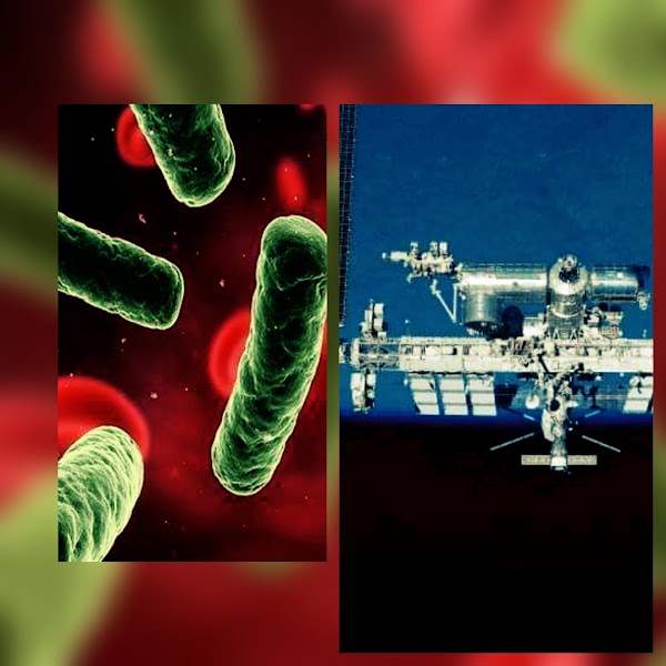 estacion espacial internacional infectada por 5 variedades de bacterias infecciosas.. estacion espacial internacional infectada por 5 variedades de bacterias infecciosas..