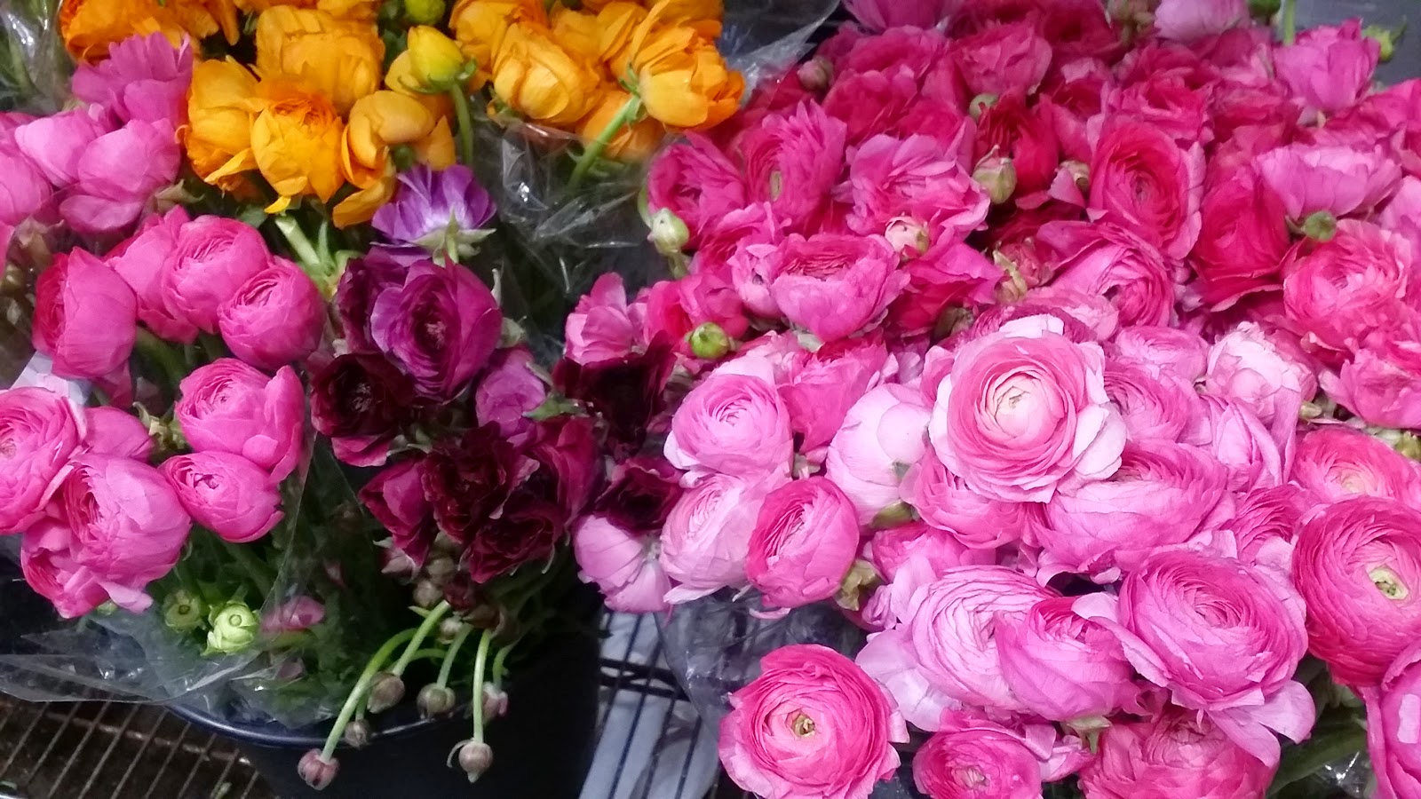 Antique and Design Center of High Point, October 1321, 2020 Chelsea