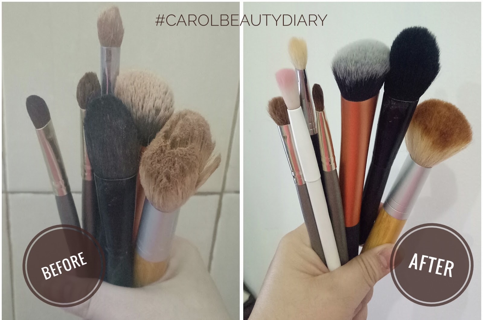 Carol Beauty Diary Review The Soap Corner Brush Best Friend Liquid Soap