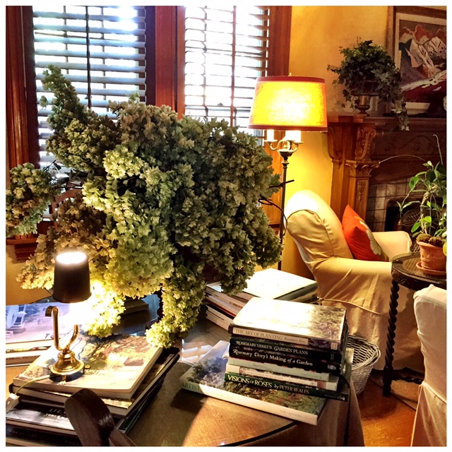 Books, flowers, comfortable chair, and good lighting.  The essentials.