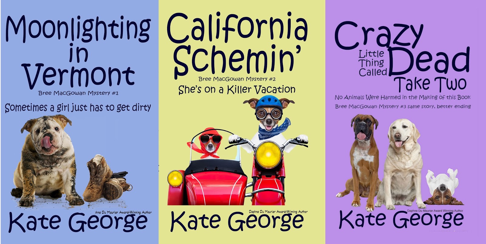 50 Authors from 50 States Kate World of Vermont