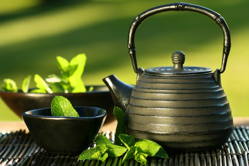 Feeding Gear's Blog Nursing Teas Herbal Teas That Support A Mother's