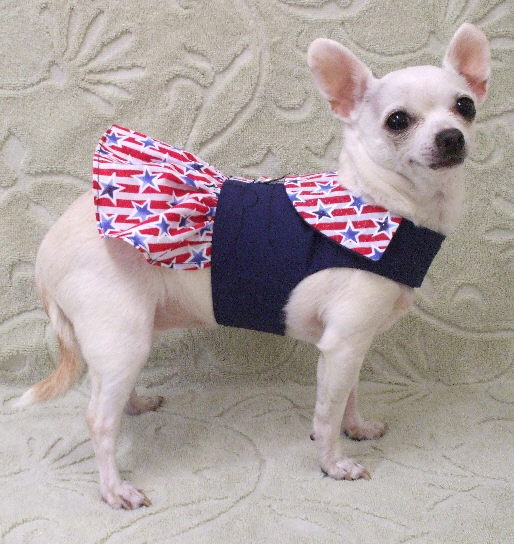 Fashion Blogger Dog Outfits