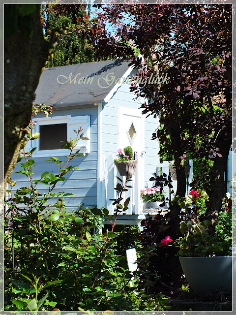 Mein Gartenglück Die kleinen Elfen tanzen wieder!