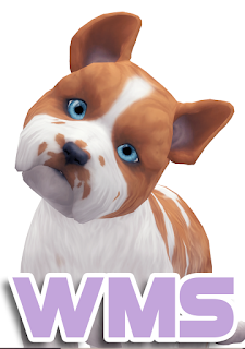 sims 4 cat and dog eyes cc sims 4 cat and dog eyes cc