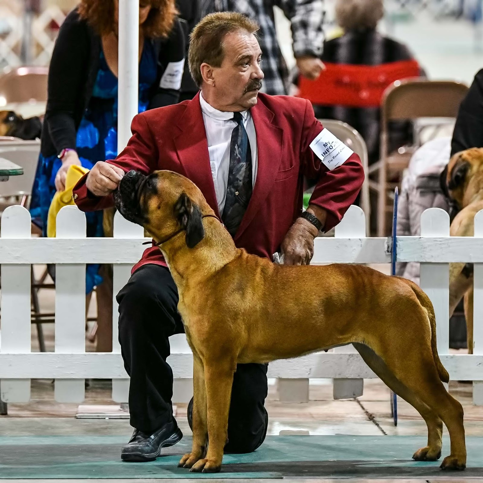 Visual Ohio Central Ohio Kennel Club Fall Dog Show