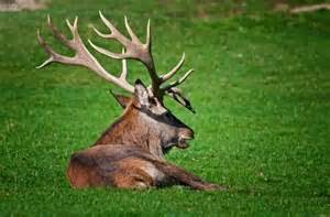 Gisi S Blog Von Tag Zu Tag Sonnwendfeuer Auf Dem Schlossberg