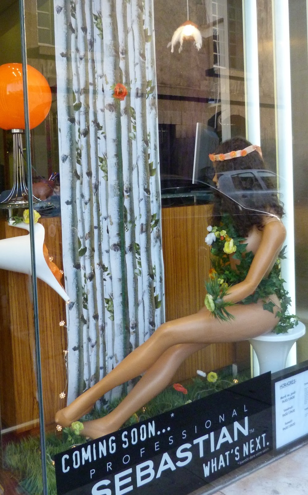 Papier Peint Tronc De Bouleau