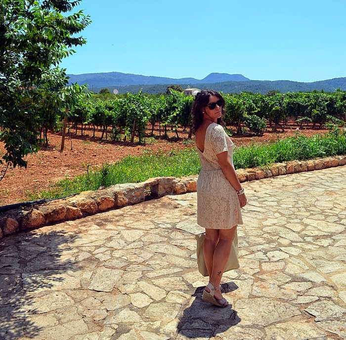 moda y viñas, bodega, viñedos, castellón, fashion blogger, mi vestido azul