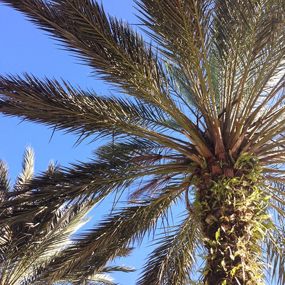 Happy Weekend! – Gaby Burger