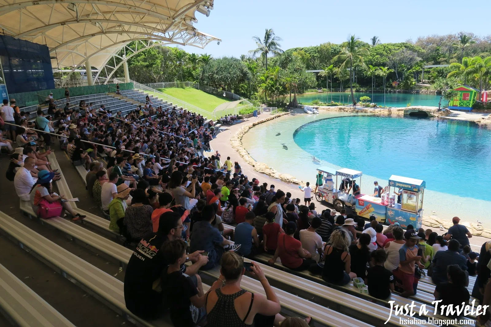 黃金海岸-景點-推薦-海洋世界-Sea-World-海豚表演-黃金海岸套票-旅遊-自由行-澳洲-Gold-Coast-theme-park-Australia