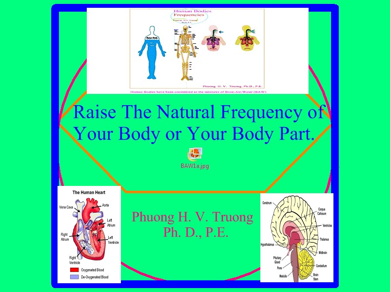 Raise The Natural Frequency of Your Body