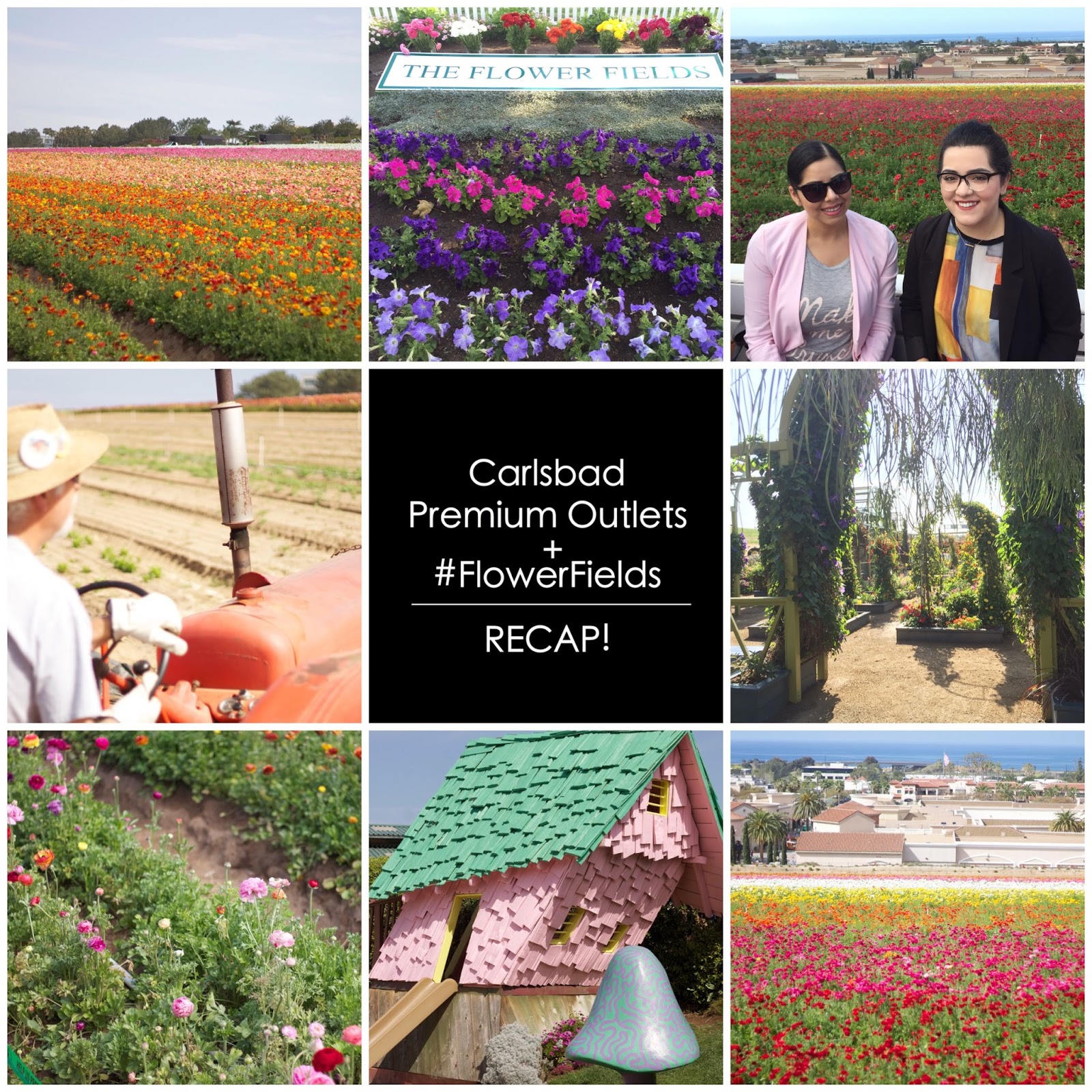 San Diego Sundays: Carlsbad Flower Fields and Premium Outlets