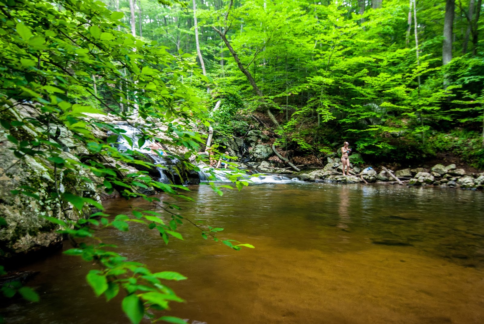 Litton's Fishing Lines Dog Hike to Butternut Falls, India Brook Park