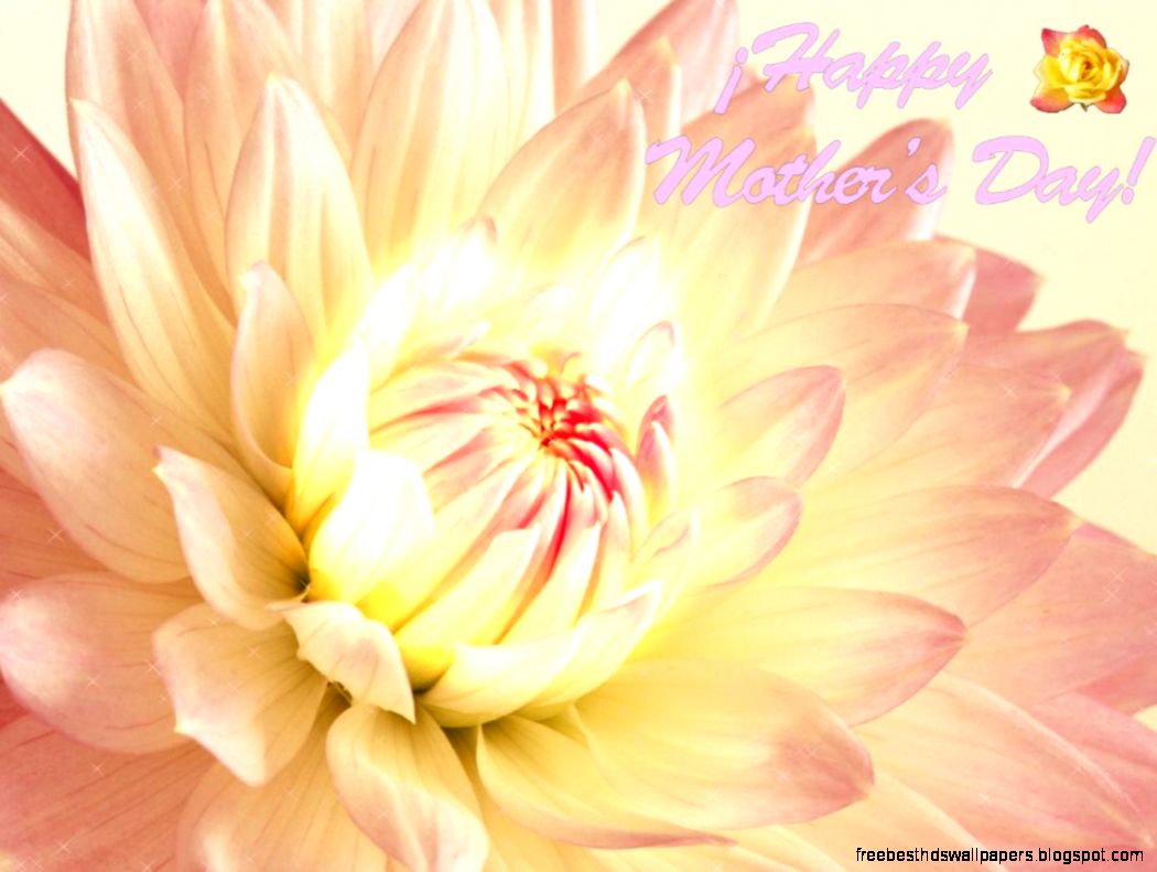 How Do I Turn My Picture Into an Anime Character