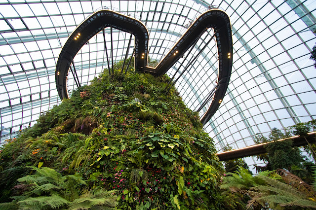 Cloud forest-Gardens by the bay-Singapore
