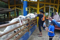 taman legenda keong emas tmii jakarta