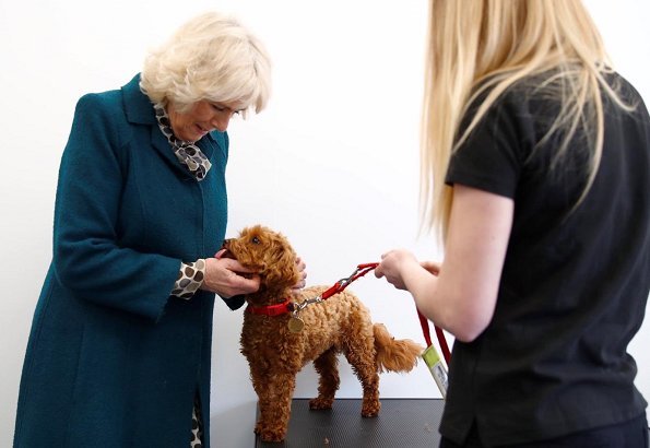 The Duchess of Cornwall opens the new Medical Detection