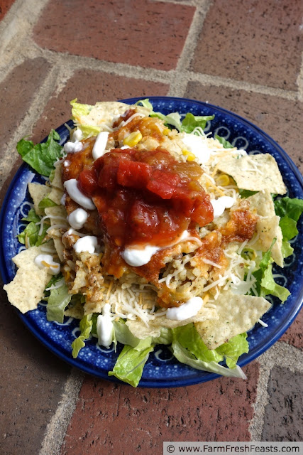 http://www.farmfreshfeasts.com/2013/05/mexican-chicken-lentil-rice-bake-salad.html