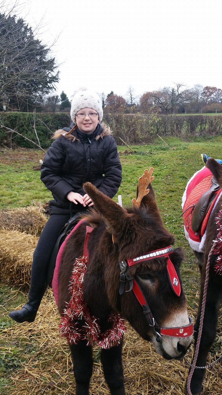 Preston Park Museum & Grounds | Christmas Bazaar and visiting Santa 2016 - donkey ride