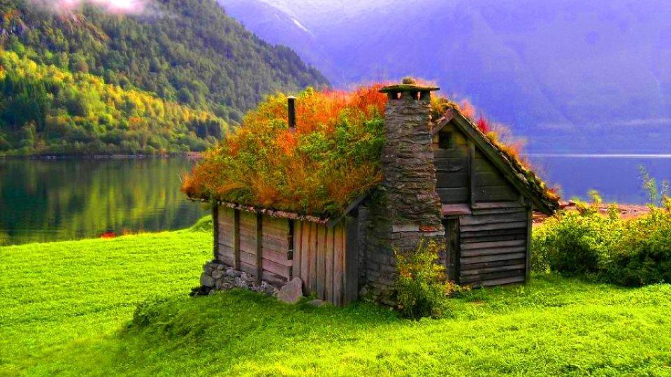 Grass Roof House,Norway