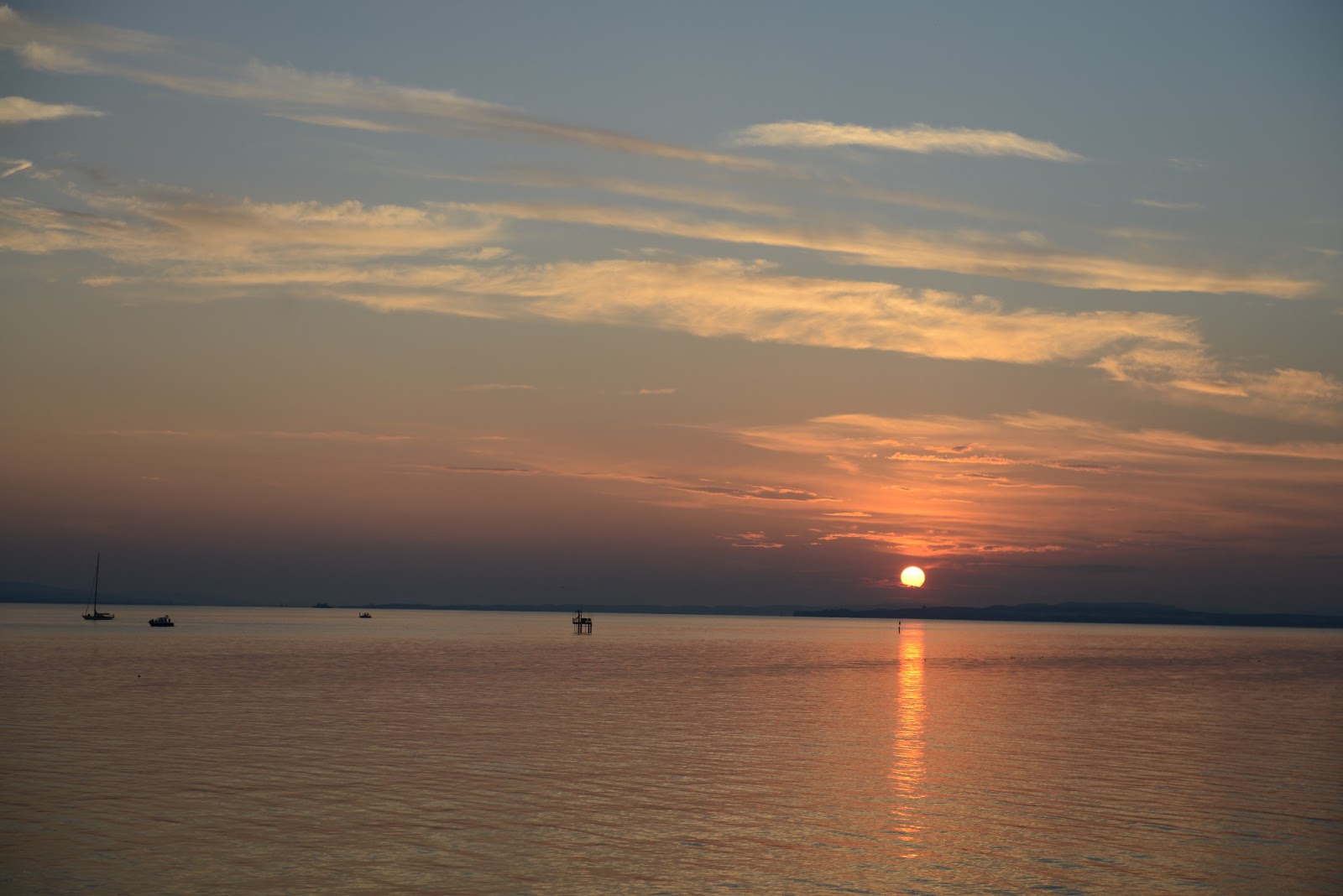 Wolfgangs Reiseblog: Bodenseefelchen