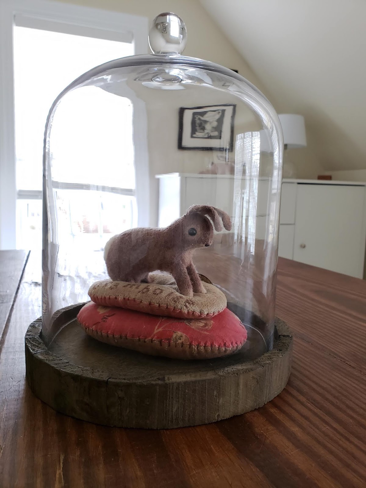 Tales from The Raspberry Rabbits: A Hop through Bunnyville