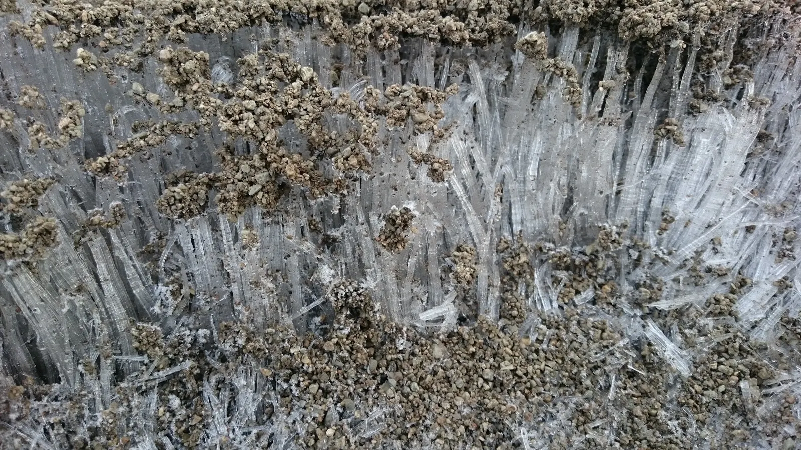 公園の五センチくらいの霜柱ができた土