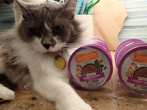 Lone Star Cats Nature S Variety Instinct Wet Cat Food From Chewy