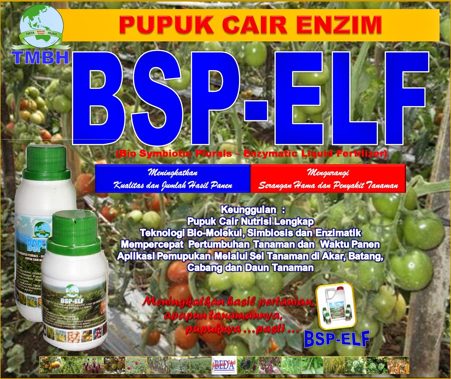 Business plan kelapa sawit 07 image