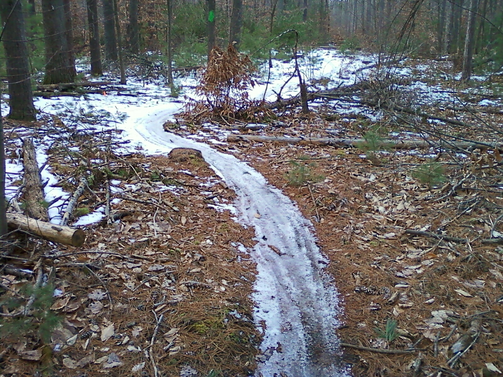 2nd Favorite Thing Local Ride Luther Forest Trails, Malta, NY