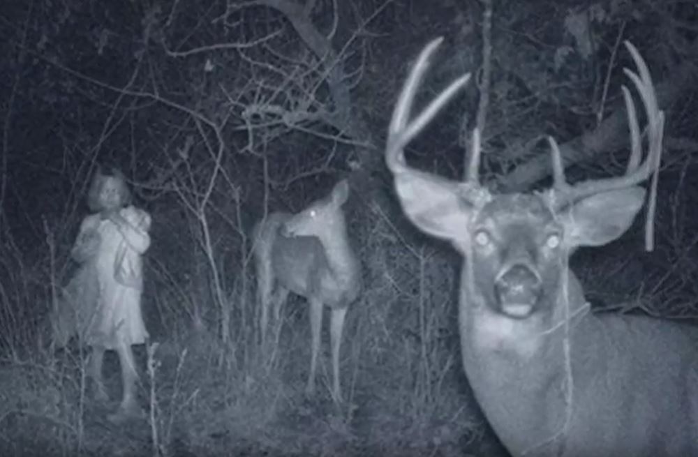Some Of These Trail Cam Photos Are Really Creepy