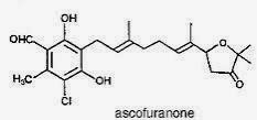 Ascofuranone (AF):  a new PAK-blocker