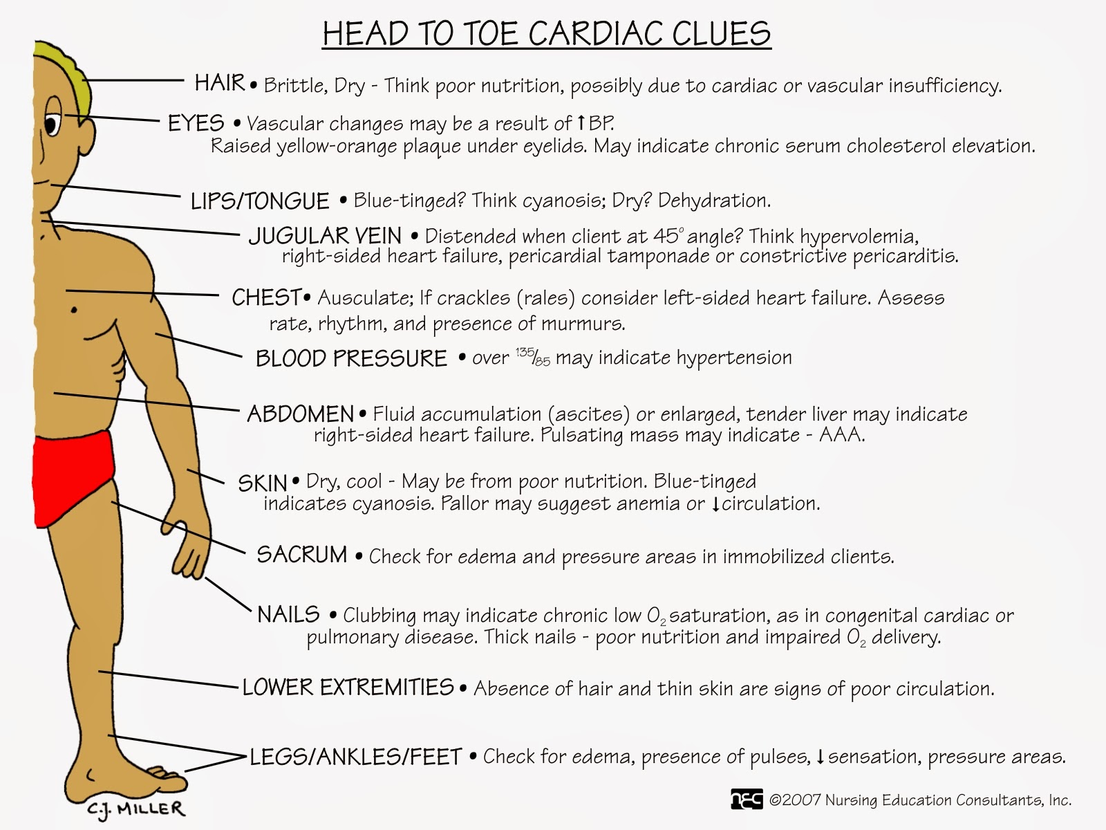 Nurses Notes MS NURSING MNEMONICS
