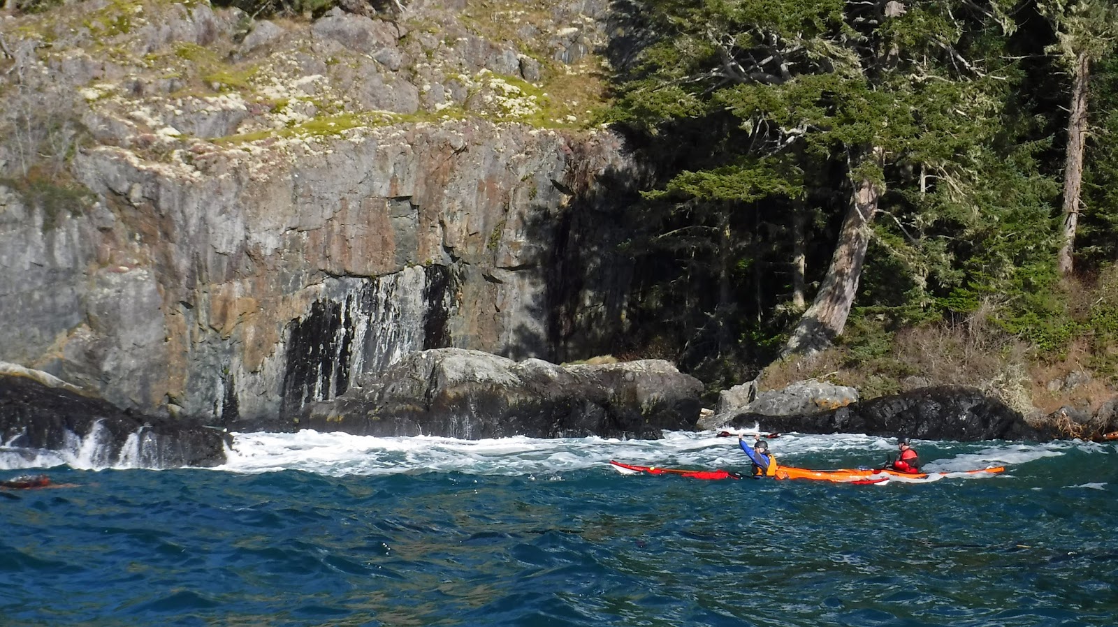 Gecko Paddler East Sooke Rock Gardens