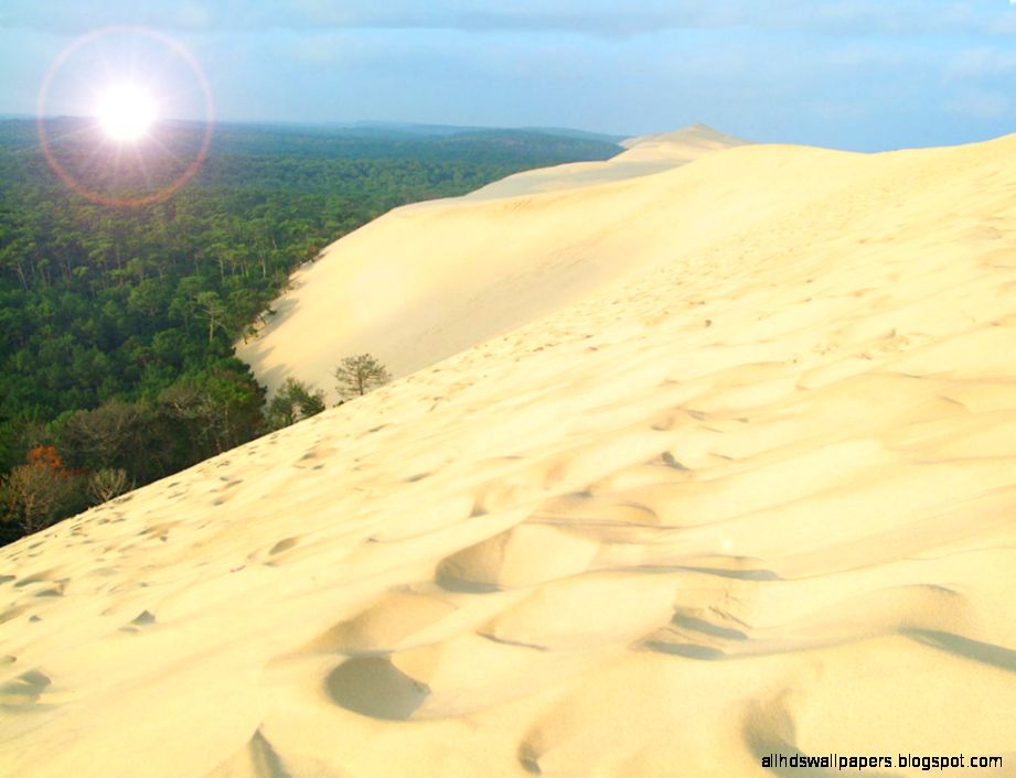 A Desert in Europe  Nature39s Delights