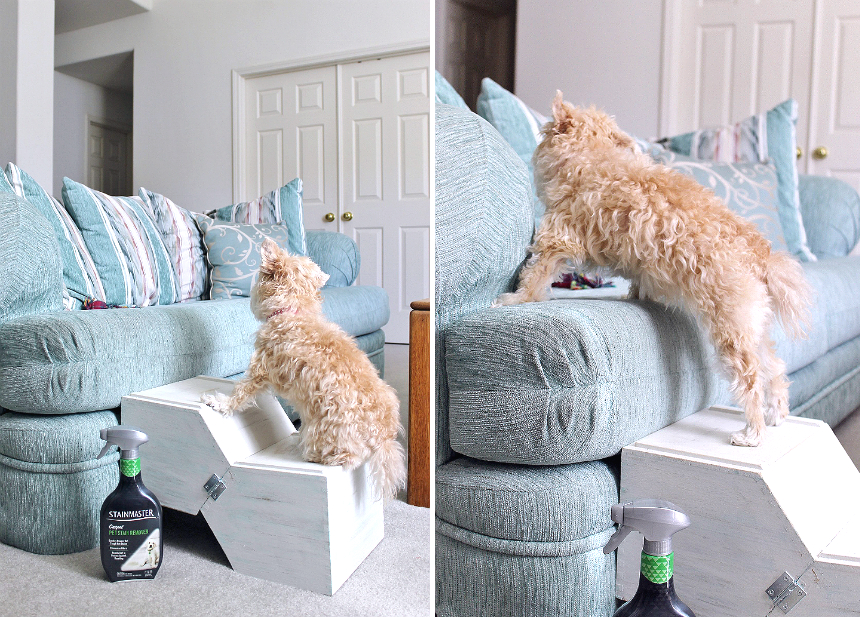 DIY Doggy Stairs- No woodworking skills required! Grab your supplies at Target! #NewPetNoStains AD
