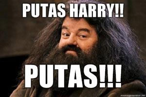 PUTAS-HARRY-PUTAS.jpg