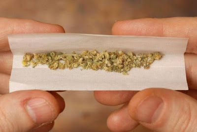 10 outrageously stupid arguments against legalising weed