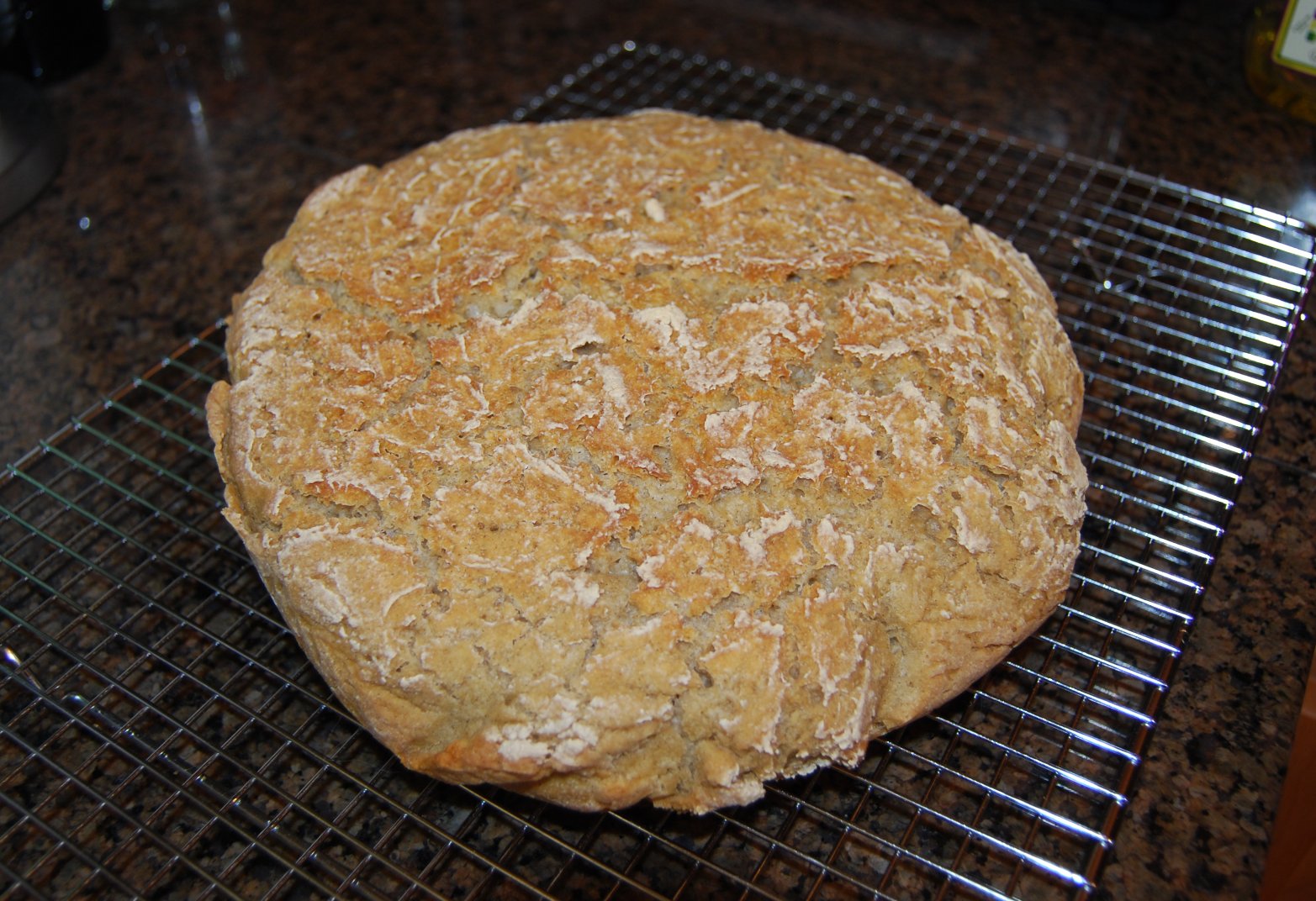 Valerie's PatchWork GF Sourdough Bread Part 2