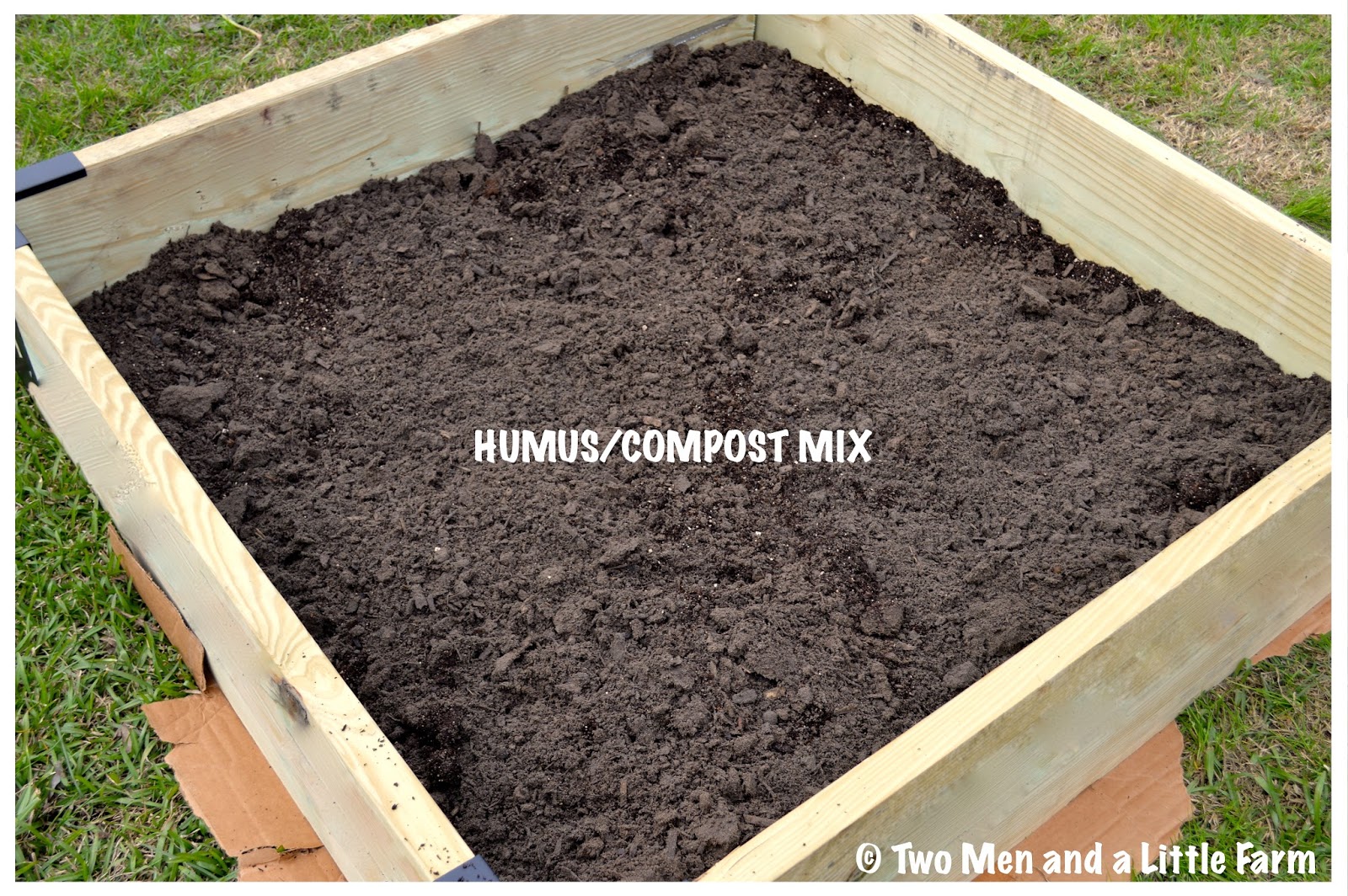 Two Men and a Little Farm RAISED BED SOIL FOR FRUIT TREES