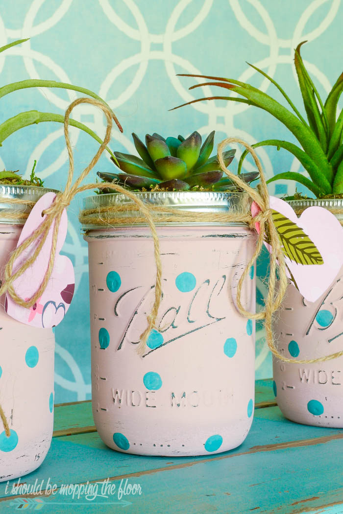 DIY Mason Jar Succulents | Make these sweet, budget friendly mason jar succulents for a simple and lovely gift!